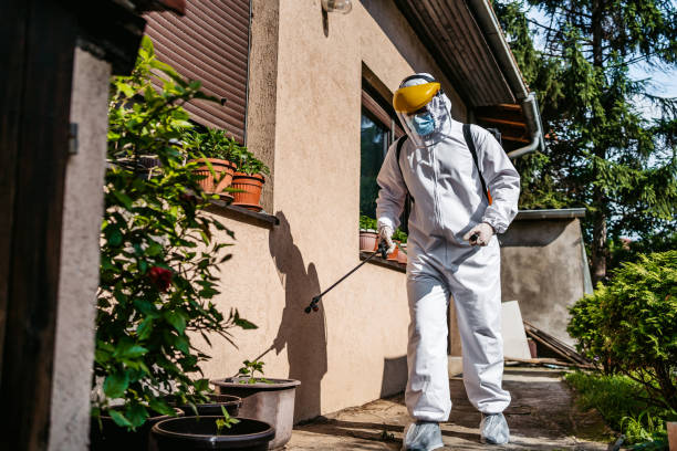 Professional Pest Control in East Aurora, NY
