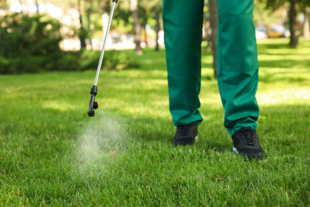 Best Bird Control  in East Aurora, NY