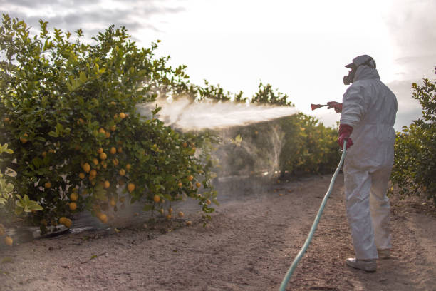 Best Cockroach Control Services  in East Aurora, NY