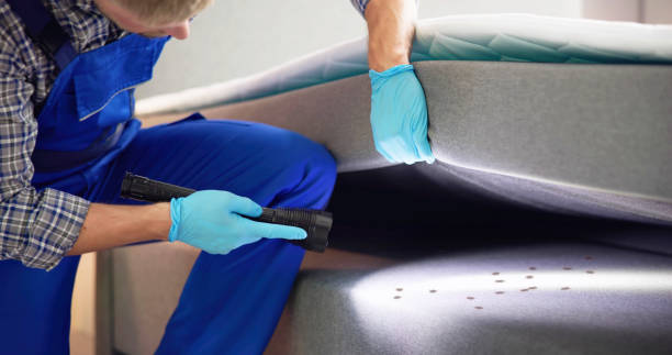 Best Pest Inspection Near Me  in East Aurora, NY