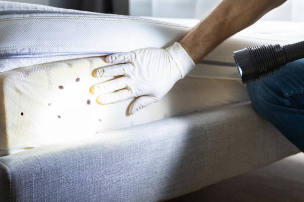  East Aurora, NY Pest Control Pros