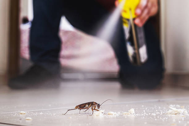 Best Exterminator Services  in East Aurora, NY