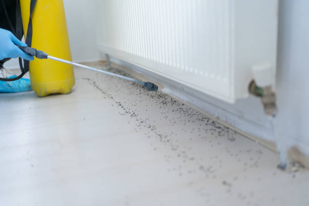 Best Wildlife Control Services  in East Aurora, NY